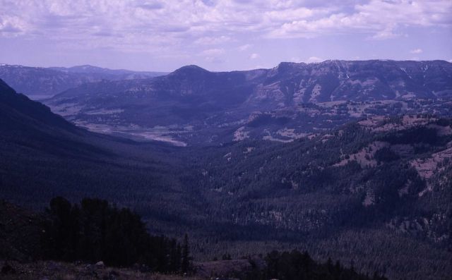 Amphitheater Creek - looking west to Mt Hornady Picture