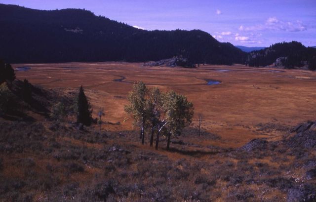 Lower Slough Creek meadows Picture