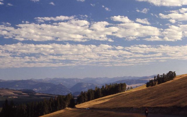 Mt Washburn road - looking north to Hellroaring Mountain Picture
