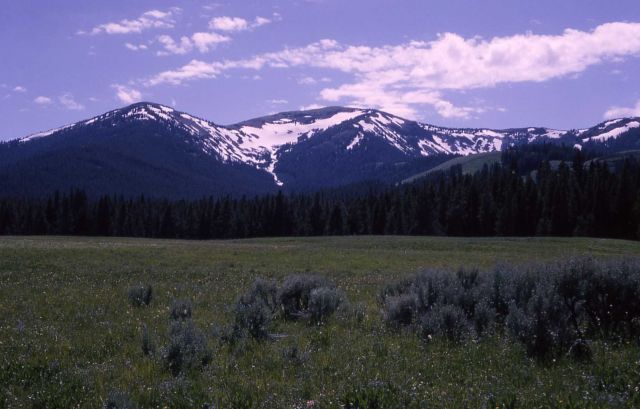 Mt Washburn Picture