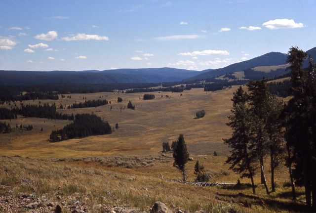Antelope Creek Drainage Picture