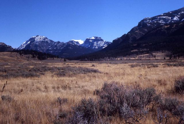 Soda Butte Creek Drainage, Abiathar Peak & Amphitheater Peak Picture