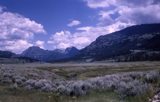 Looking northeast from Soda Butte, Abiathar Peak & Amphitheater Mountain Picture
