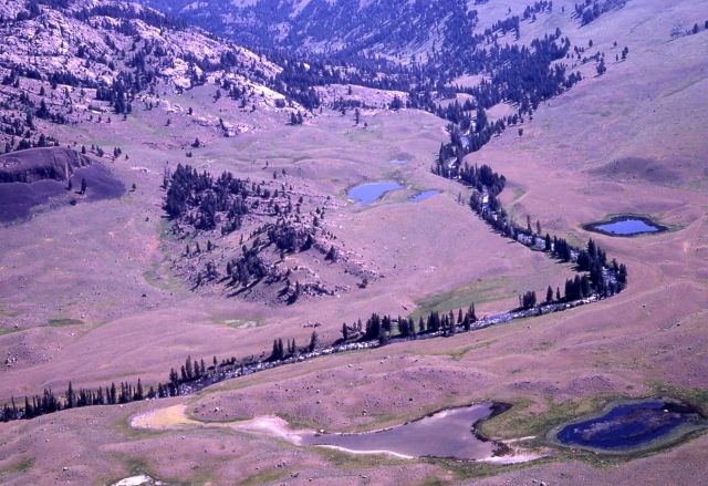 Aerial of Hellroaring Creek Picture