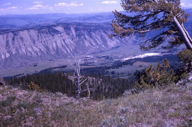 Mt Everts as seen from Sepulcher Mountain, Mammoth Hot Springs area, Absaroka Mountains in distance Picture