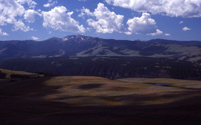 Mt Washburn as seen from Speciman Ridge Picture