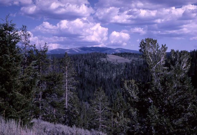 Washburn Range Picture