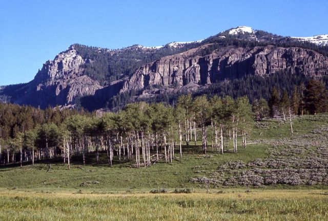 Mt Hornaday as seen from Pebble Creek Picture