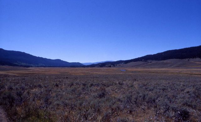 Upper Slough Creek meadows, looking south Picture