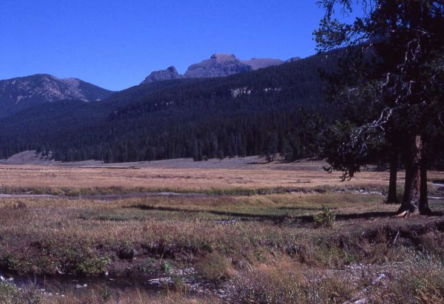 Cutoff Peak from Slough Creek Picture