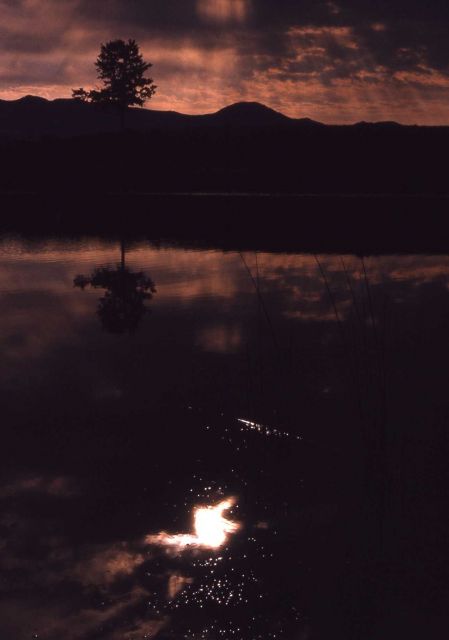 Glacial pond near Tower Junction Picture