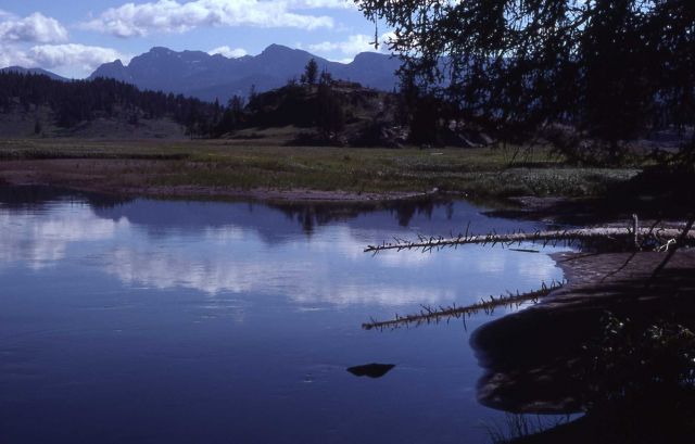 Slough Creek looking toward Cutoff Peak Picture