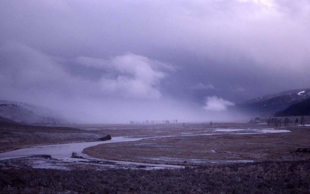 Lamar Valley & River with fog & clouds Picture