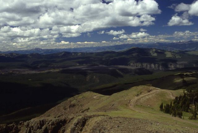 View from Mt Washburn road trail - looking northwest Picture