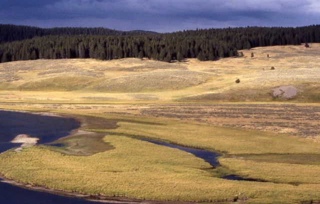 Hayden Valley & the Yellowstone River Picture