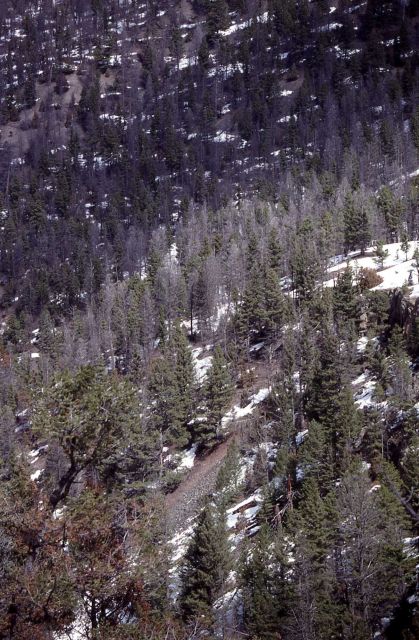 Mt Everts near Undine Falls Picture