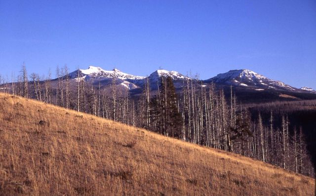 Saddle, Hague & Little Saddle Mountains Picture