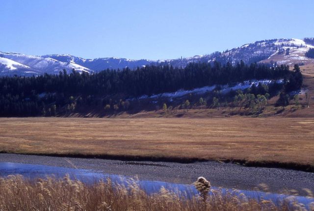 Lamar River & Valley Picture