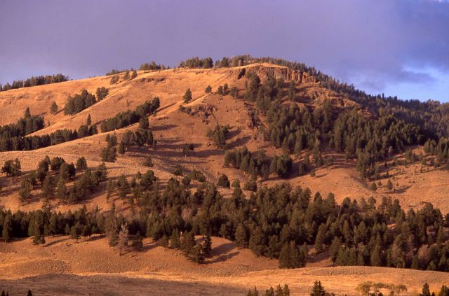 Ridge on north side of Lamar Valley Picture