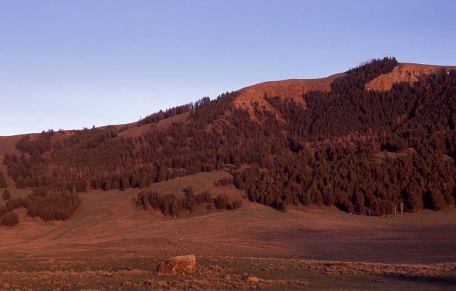 Specimen Ridge late in the day Picture