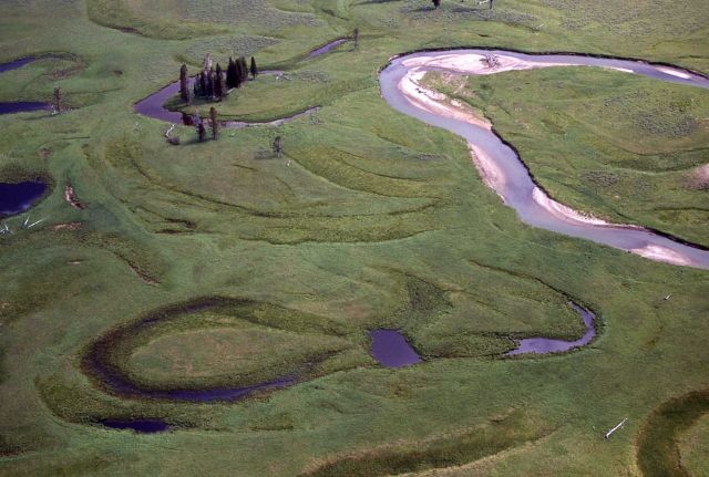 Former stream beds along Pelican Creek Picture