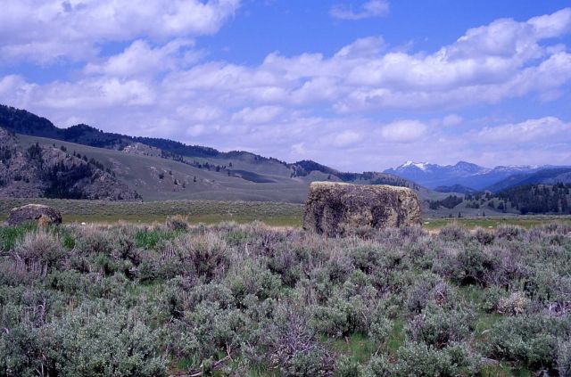Sagebrush, glacial erratics, Cutoff Mountain Picture