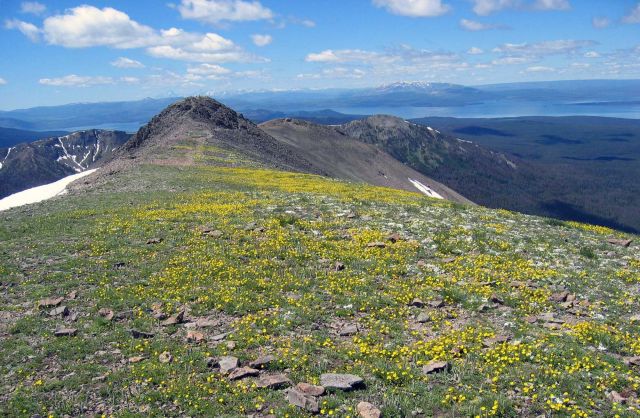 Summit of Avalanche Peak looking south - view of Yellowstone Lake & Grand Tetons Picture