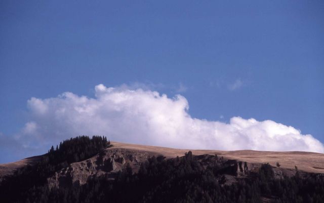Specimen Ridge Picture