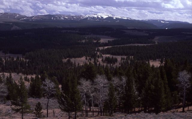 Specimen Ridge Picture