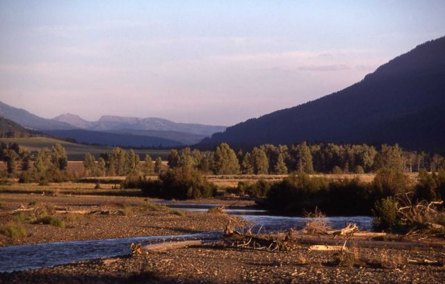 Lamar Valley & River Picture