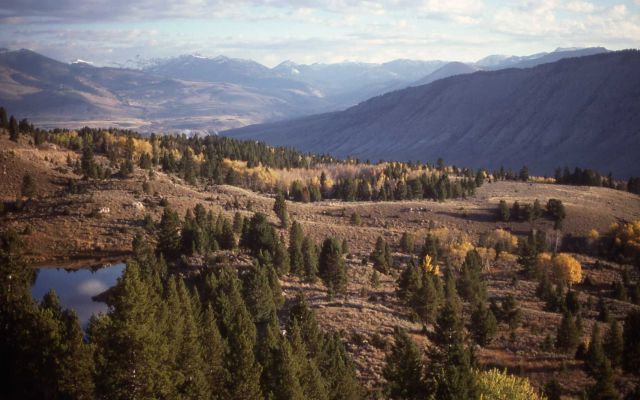 Mt Everts & Gallatin Range Picture