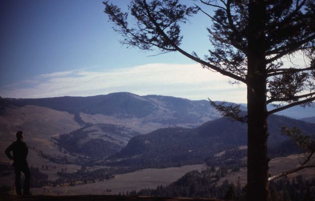 Hellroaring Creek & the Yellowstone river area Picture