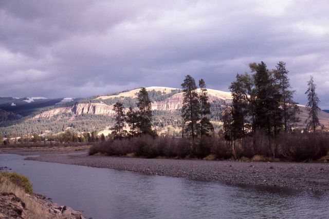 Mt Norris & the Lamar River Picture