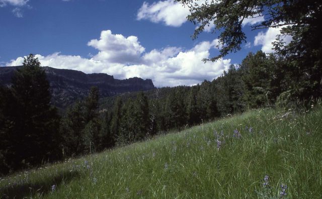 Sheep Mountain Picture
