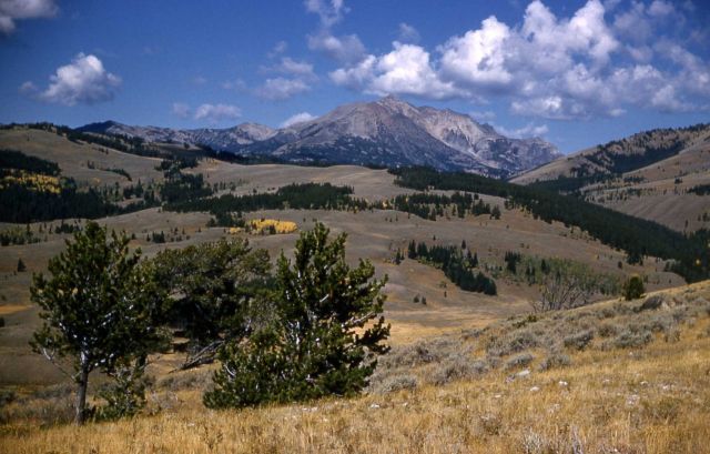 Electric Peak Picture