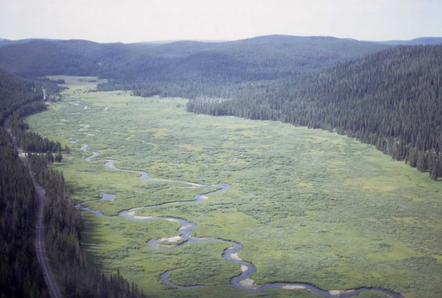 Obsidian Creek Valley near Apollinaris Spring Picture