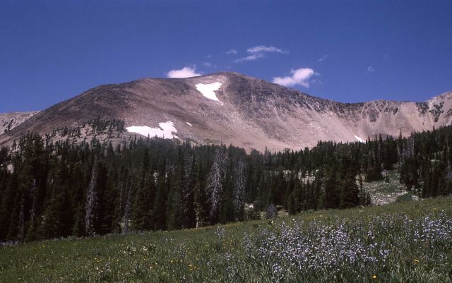 Mt Holmes Picture