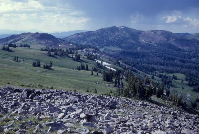 Gray Peak as seen from Gallatin Divide Picture