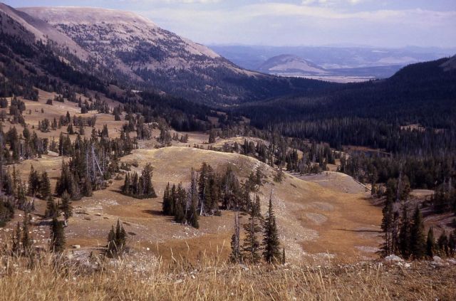 Bighorn Pass Picture