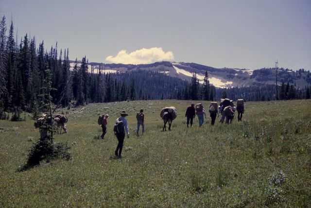 Bighorn Pass Picture