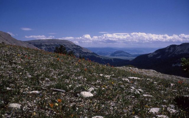 View from south of Bighorn Pass Picture