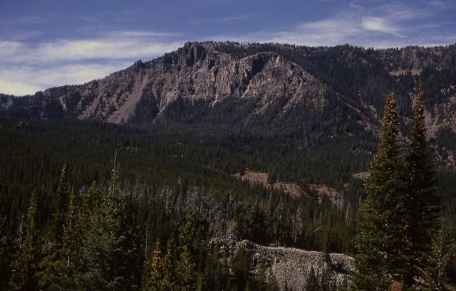 Mol Heron trail Picture