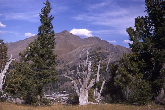 Electric Peak Picture