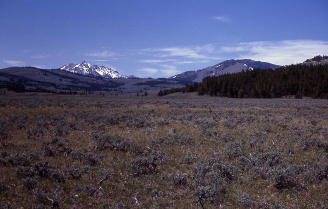 Electric Peak & Sepulcher Mountain Picture
