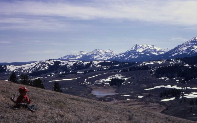 Gallatin Mountain Range as seen from Terrace Mountain Picture