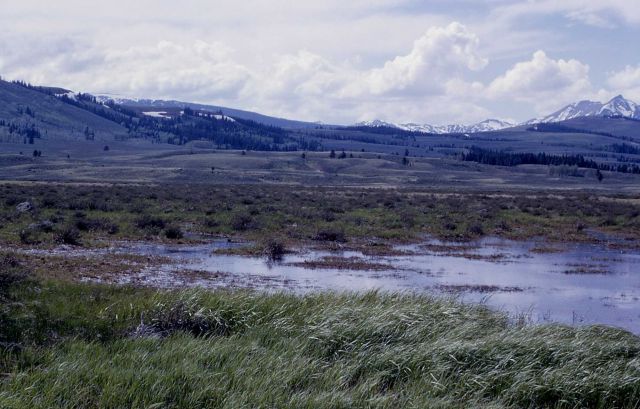 Swan Lake Flats Picture