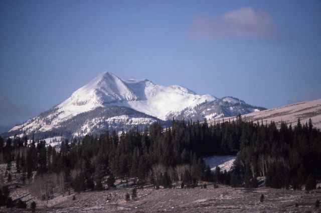 Gallatin Mountains with snow Picture