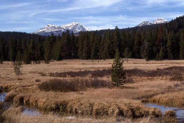Mt Holmes Picture