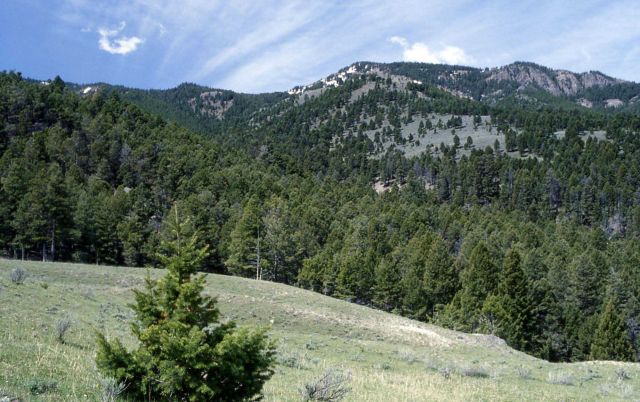 View from Stephens Creek Picture