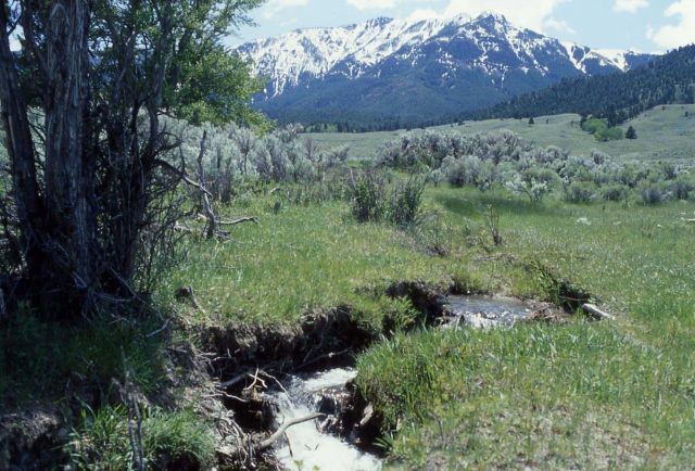 Stephens Creek Picture